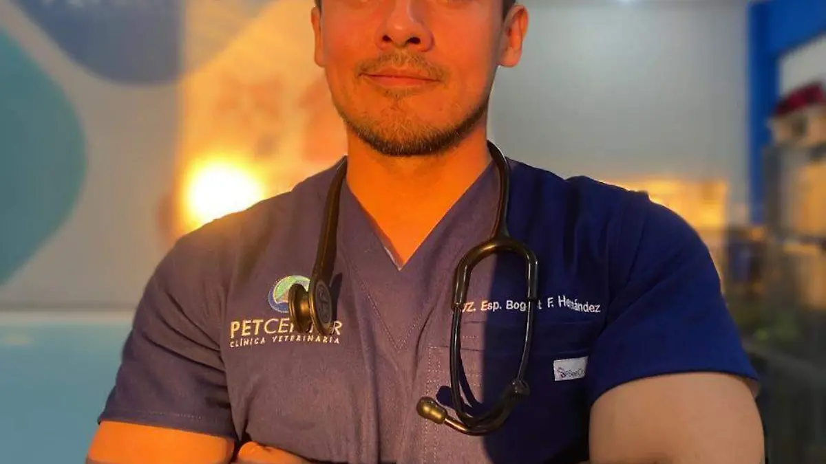 bogart fernando hernandez