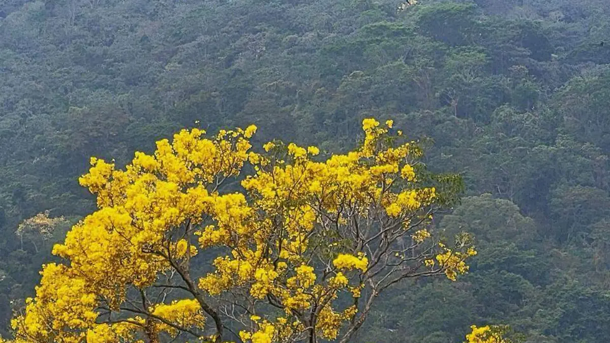 WhatsApp Image 2024-03-21 at 00.39.31