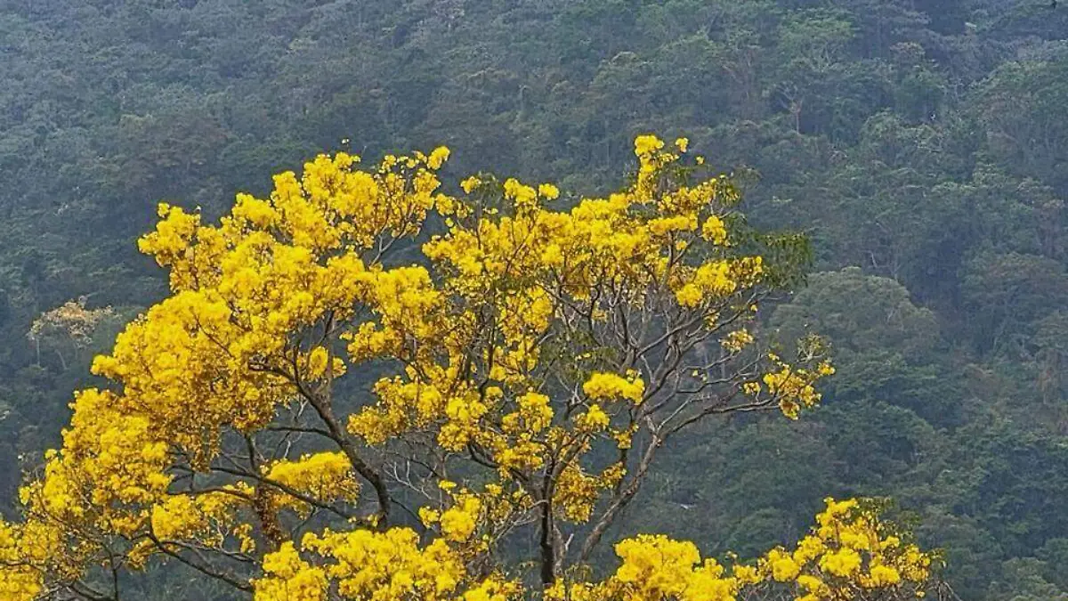 WhatsApp Image 2024-03-21 at 00.39.31