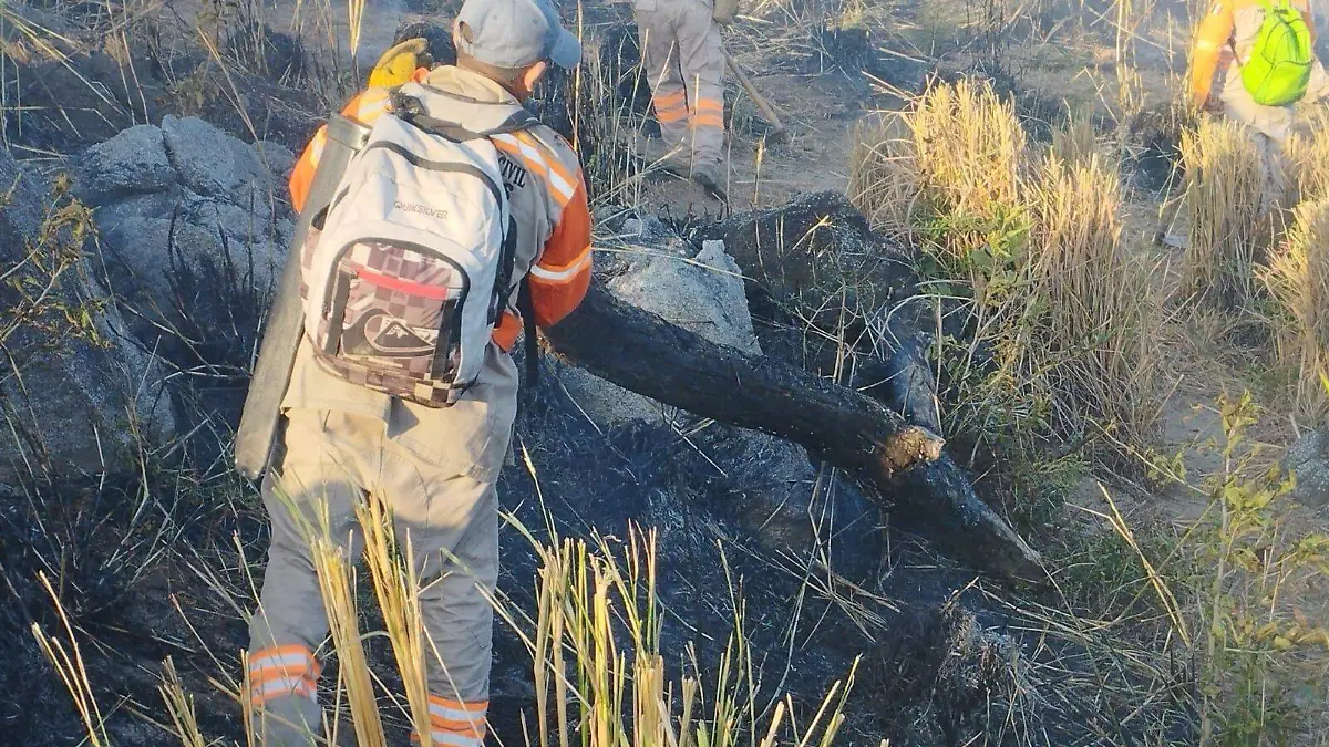 Combaten incendio
