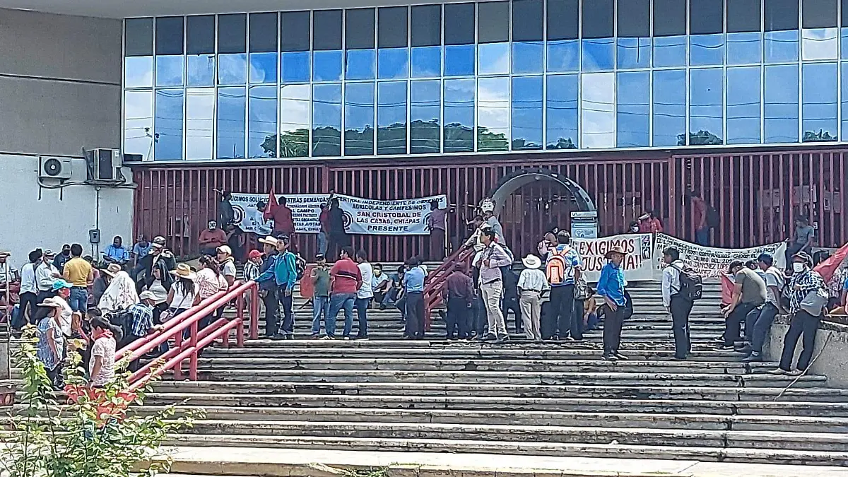 manifestación