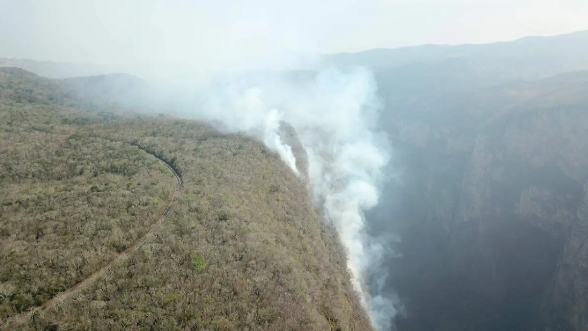 cañon del sumidero, incendio, hectáreas