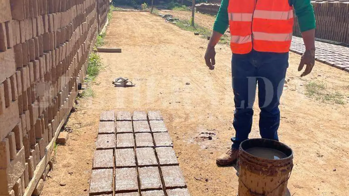 Ladrillos sustentables