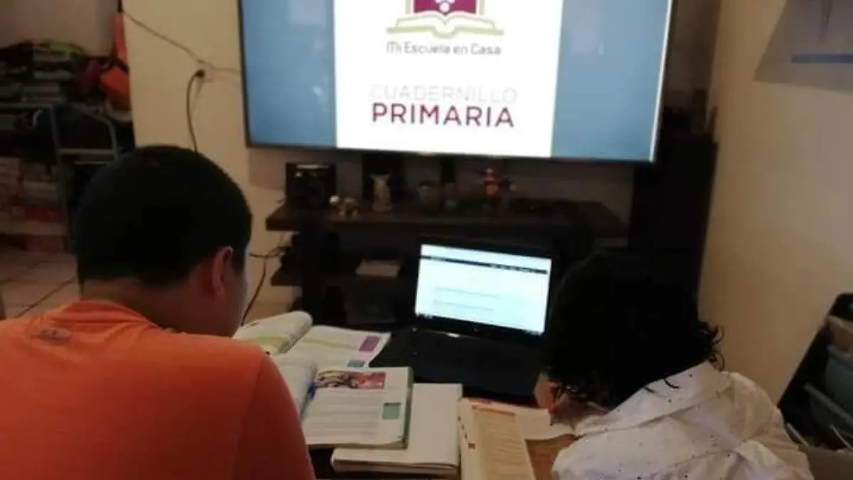 educacion, distancia, virtual