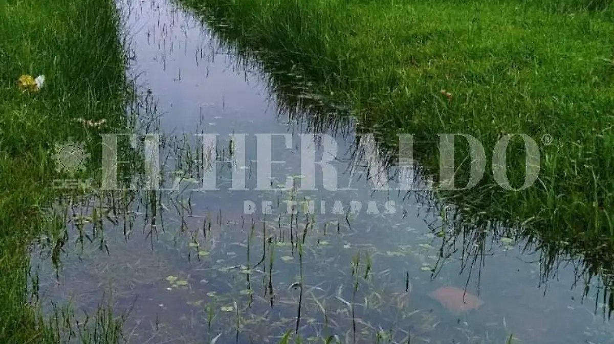 Humedales
