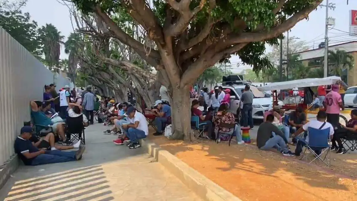 Docentes