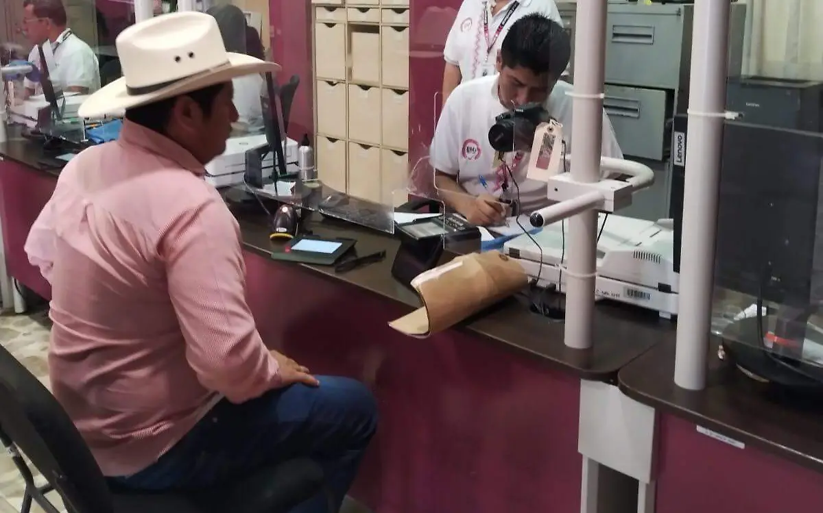 entrega de ine