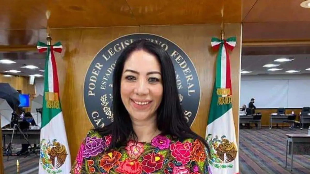 diputada reforma