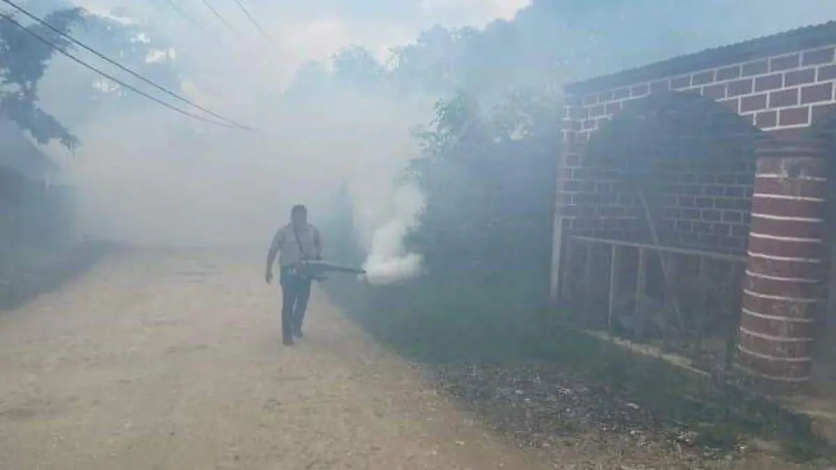 fumigacion por dengue