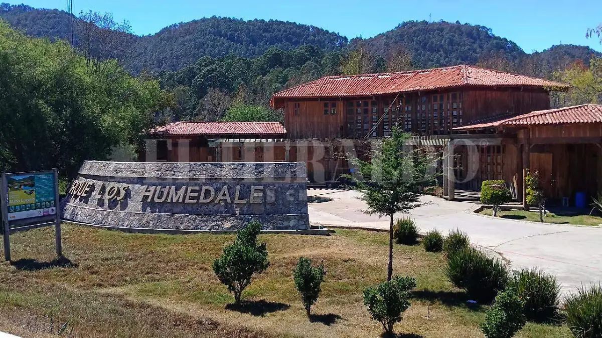 Humedales