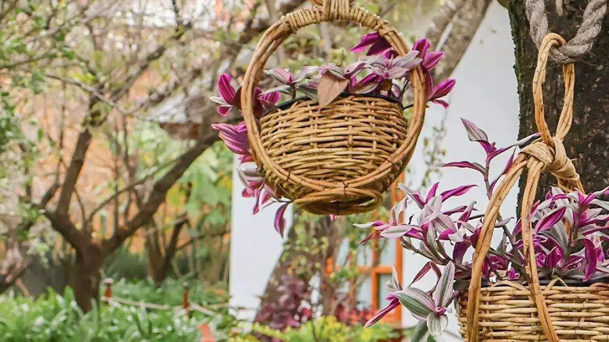 Hotel Casa de Familia de San Cristóbal
