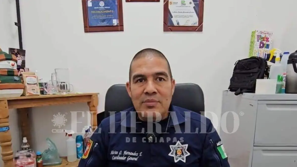 policia de transito