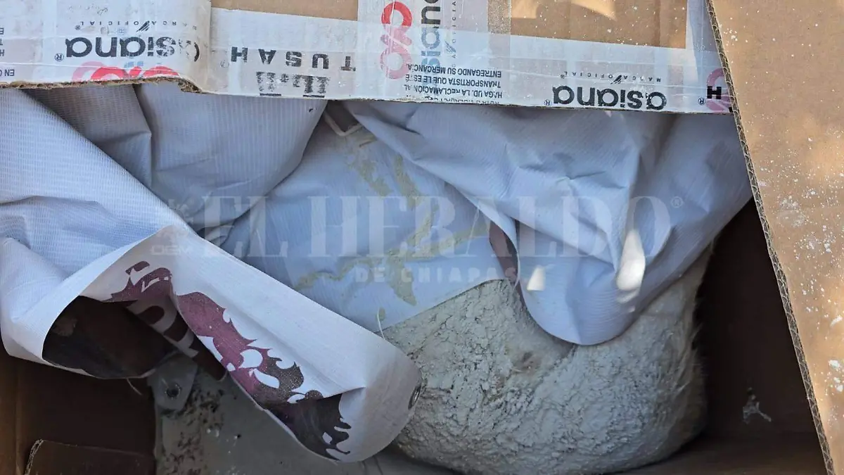 Cuerpo de perro sin vida