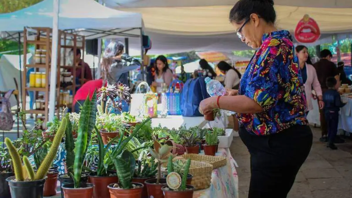 Plantas