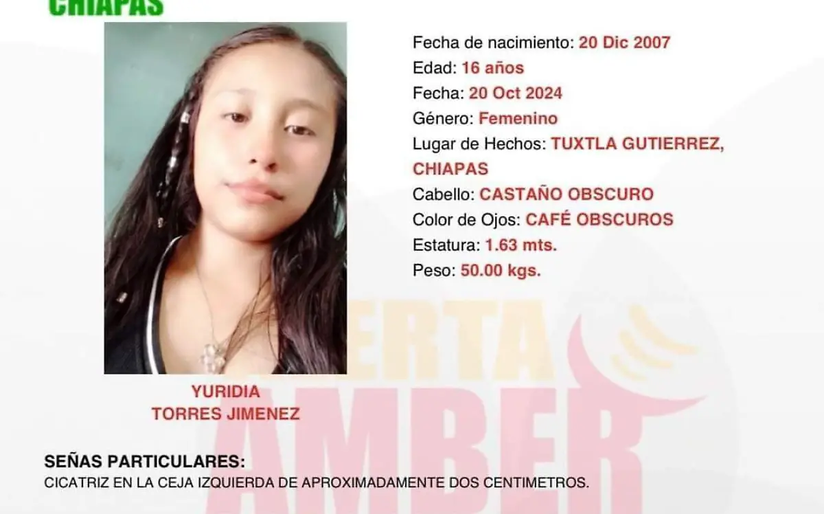 boletín
