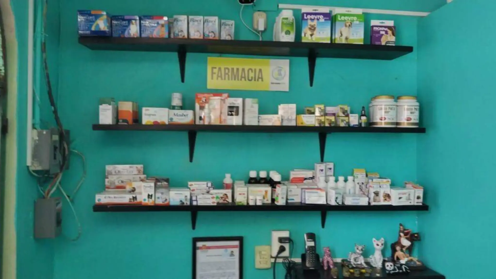 medicamentos