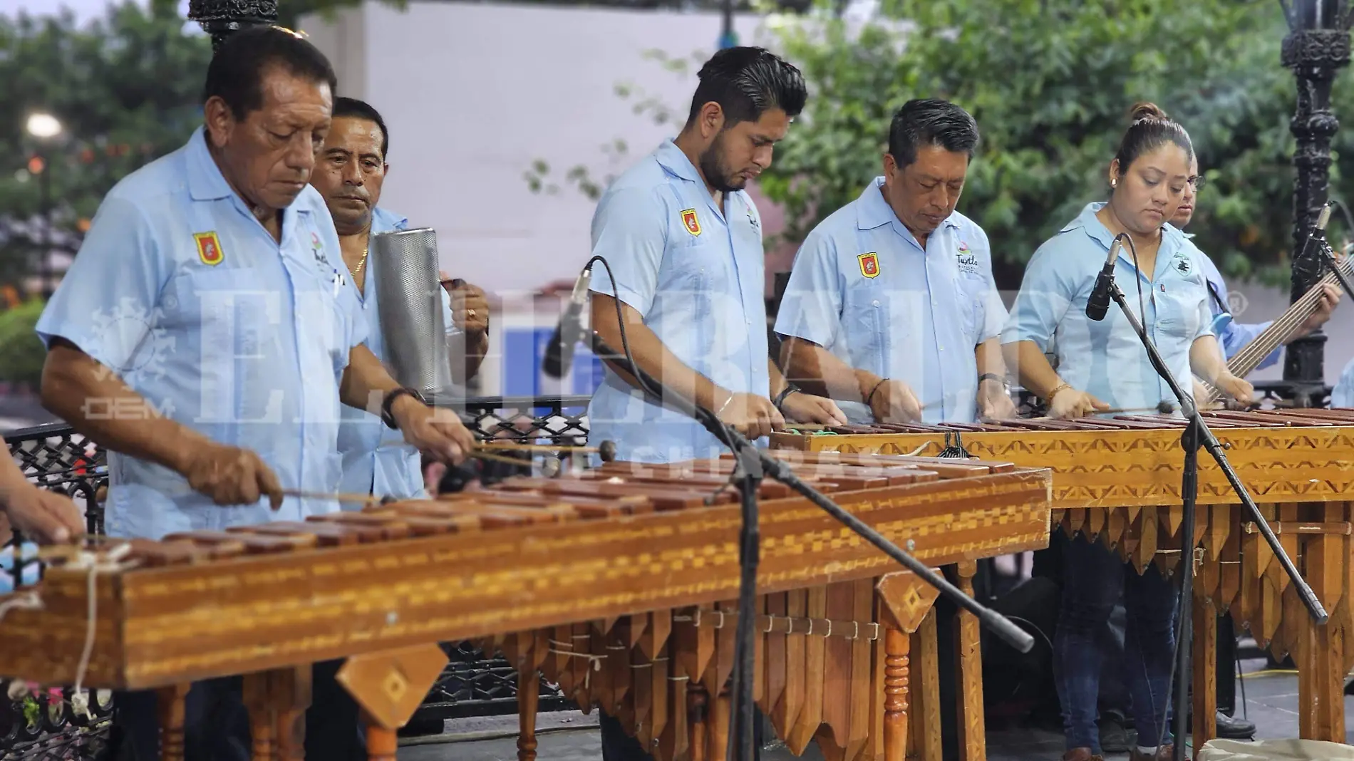 Marimba