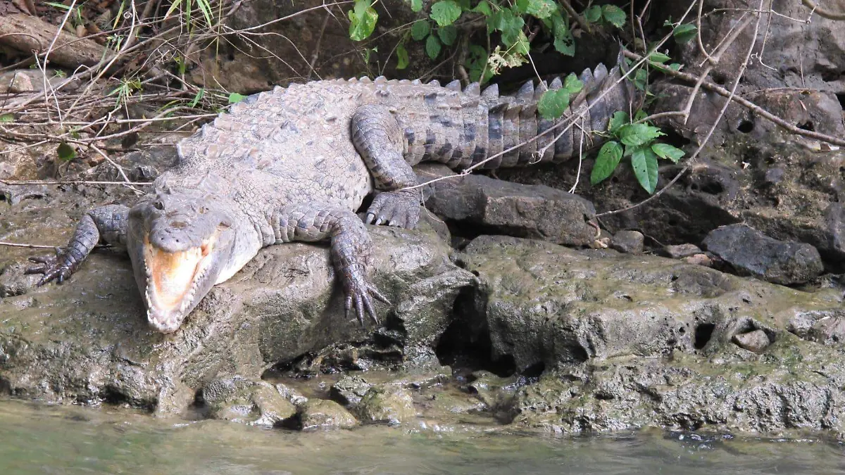 Cañón del Sumidero 