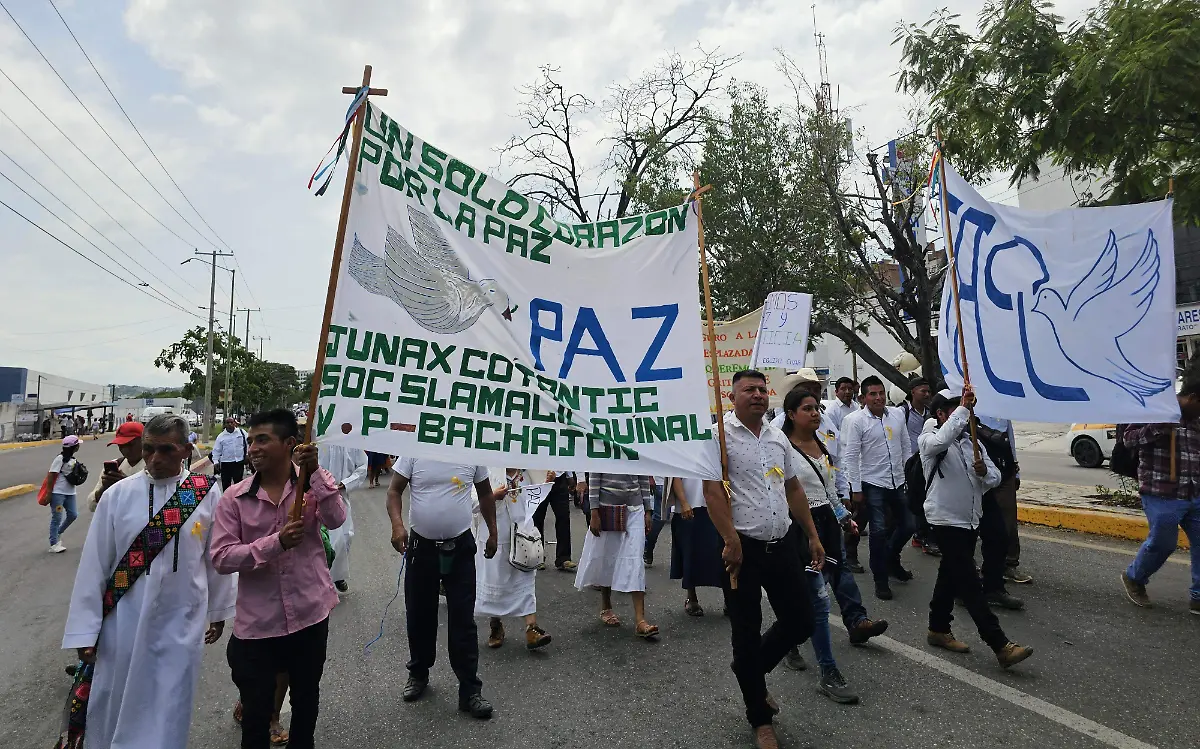 manifestación