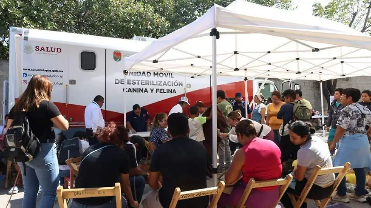 campaña esterilizacion