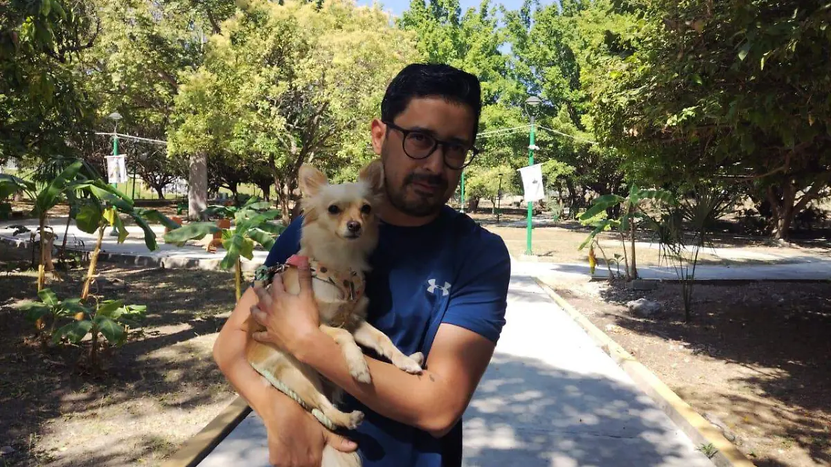 Falta de acción por maltrato animal y abandono