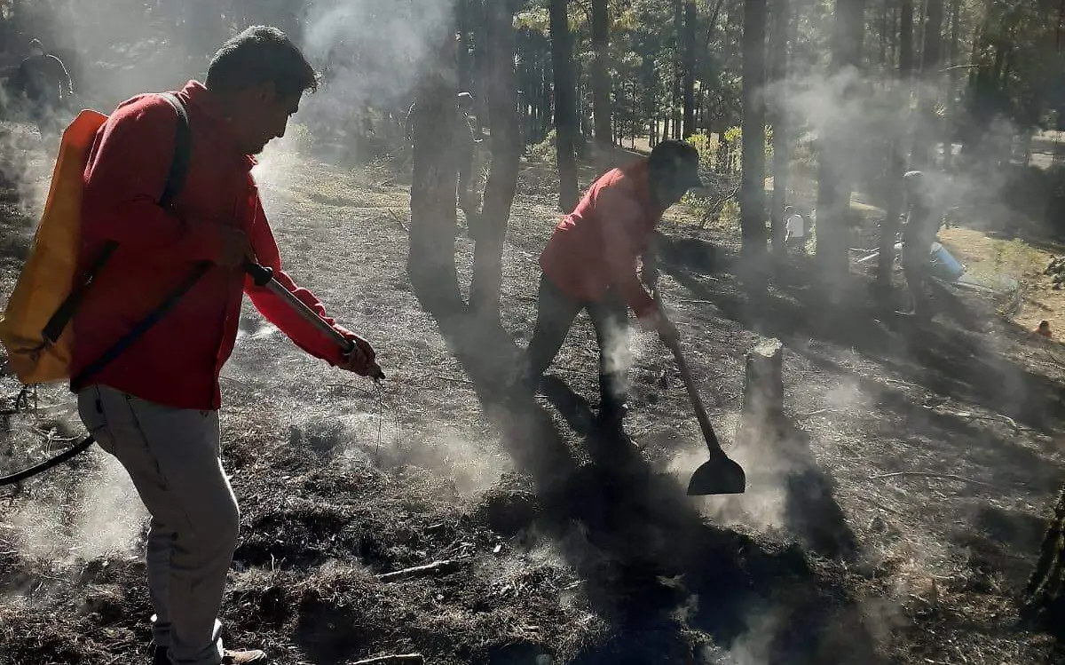 WhatsApp Image 2024-01-18 at 17.01.45