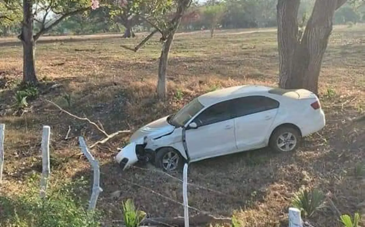 WhatsApp Image 2024-02-04 at 10.57.53 (1)