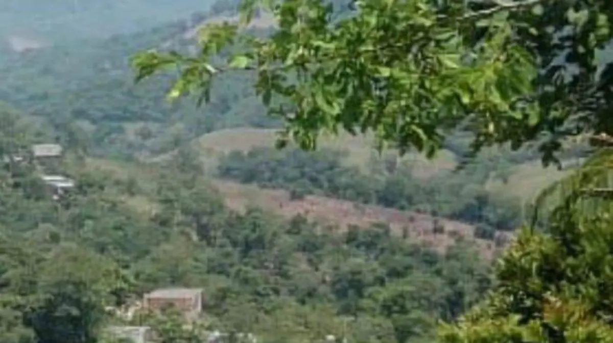 verde