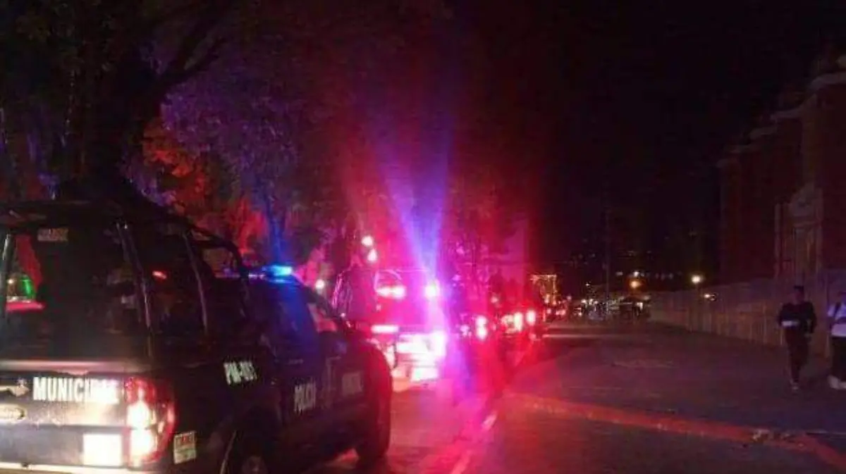 Elementos de seguridad