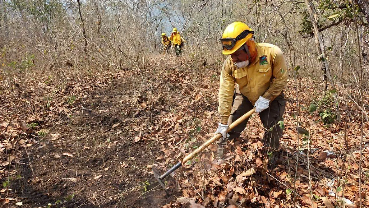 incendio cerro zinacantan