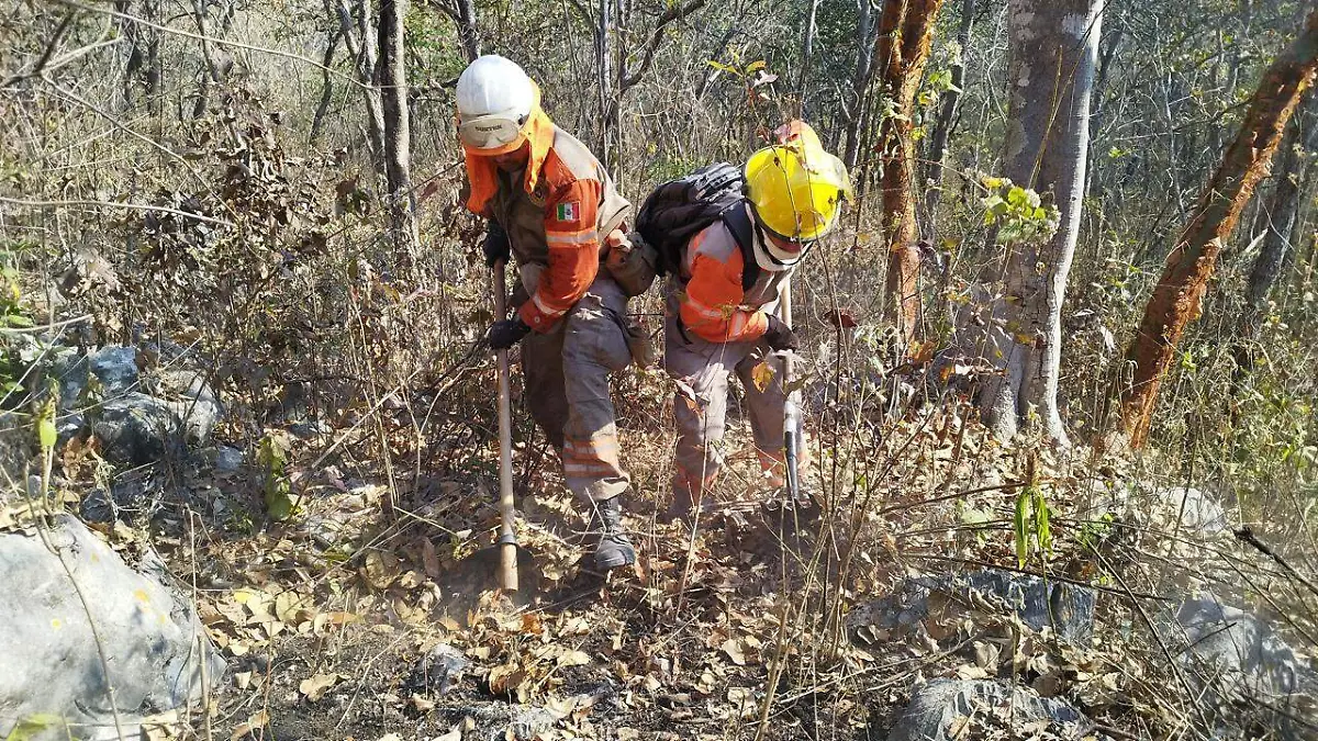 incendio en el Cañon del sumidero