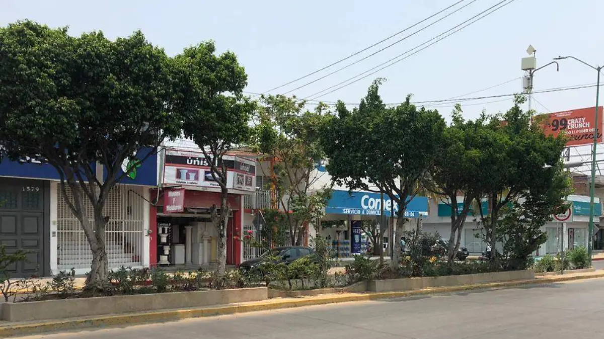 mujer detenida, robo, compañeros