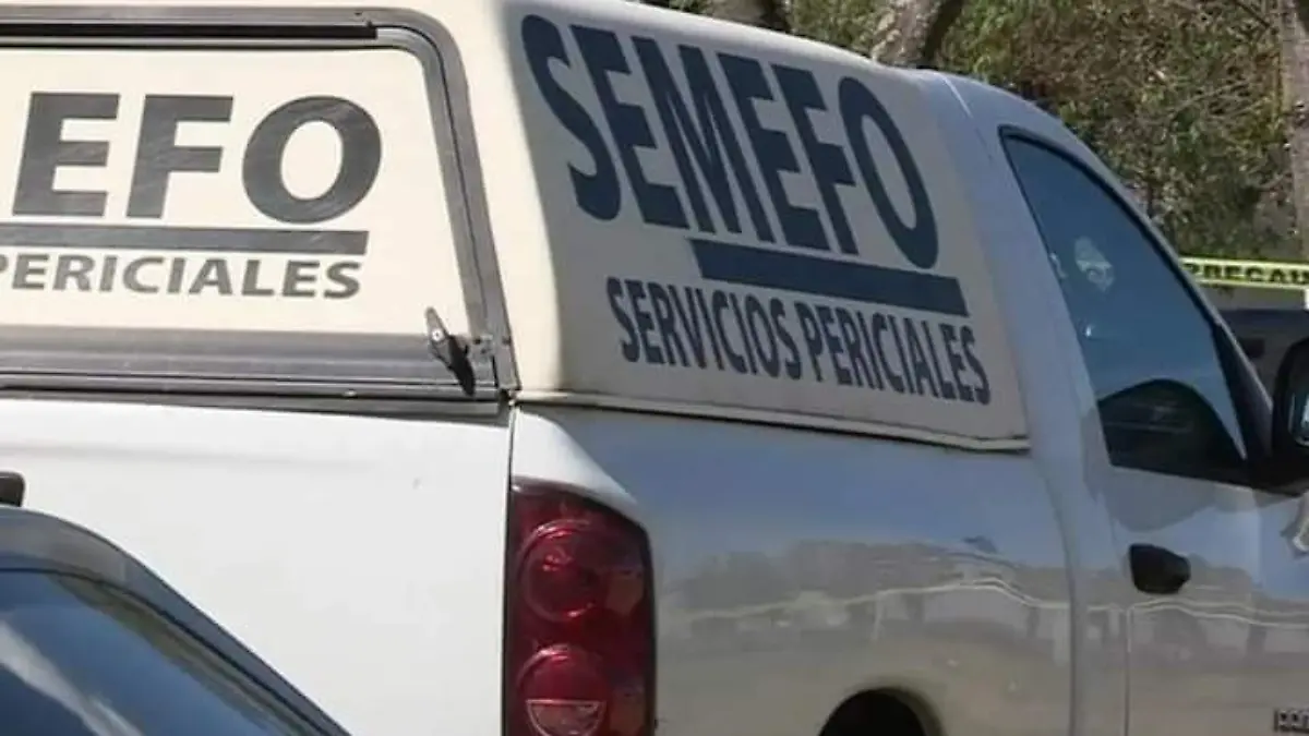 SEMEFO