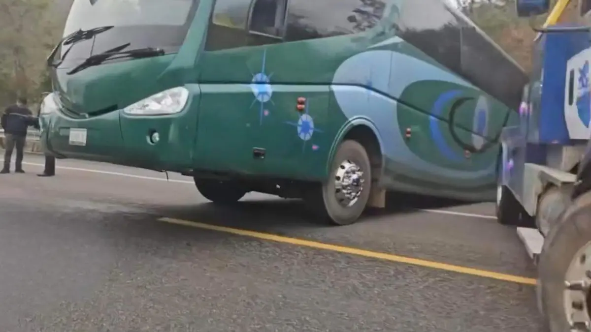 autobus verde