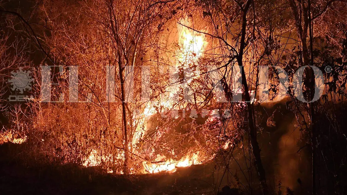 Image 2024-03-26 at 22.44.32