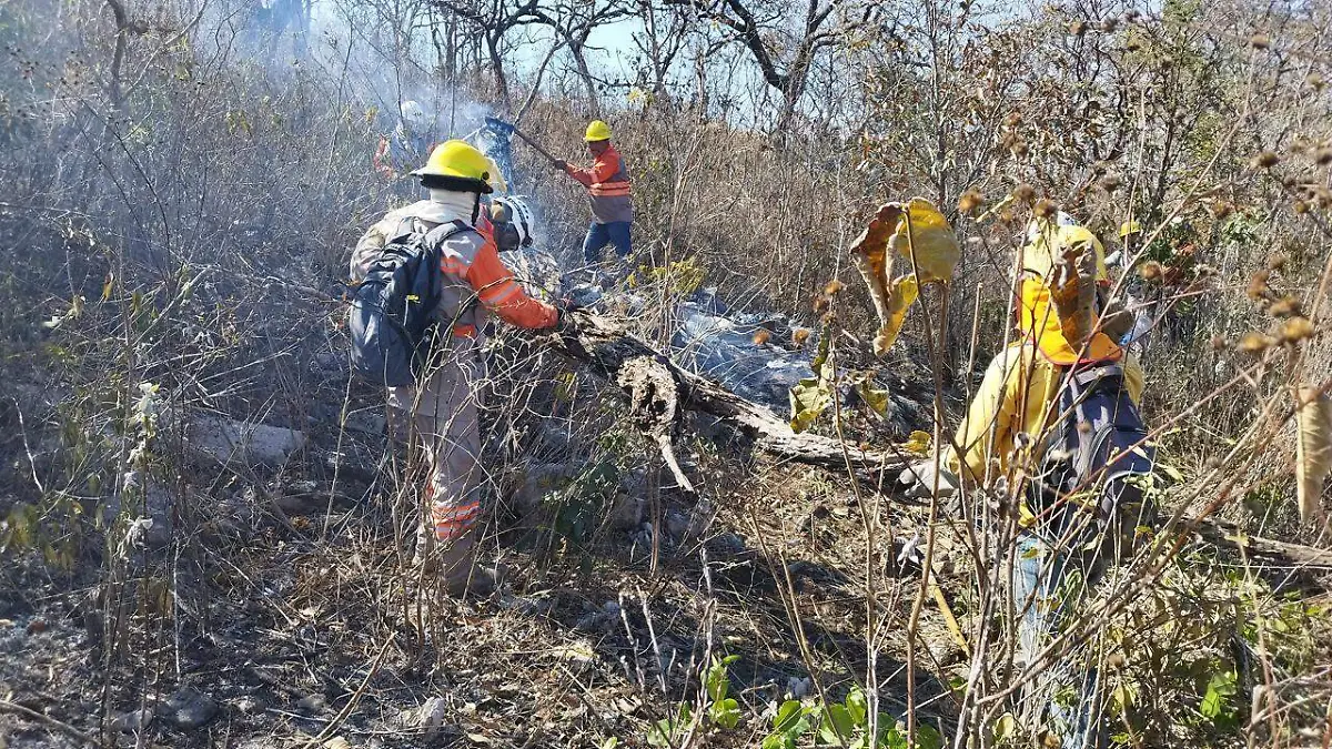 incendio en el Cañon del sumidero