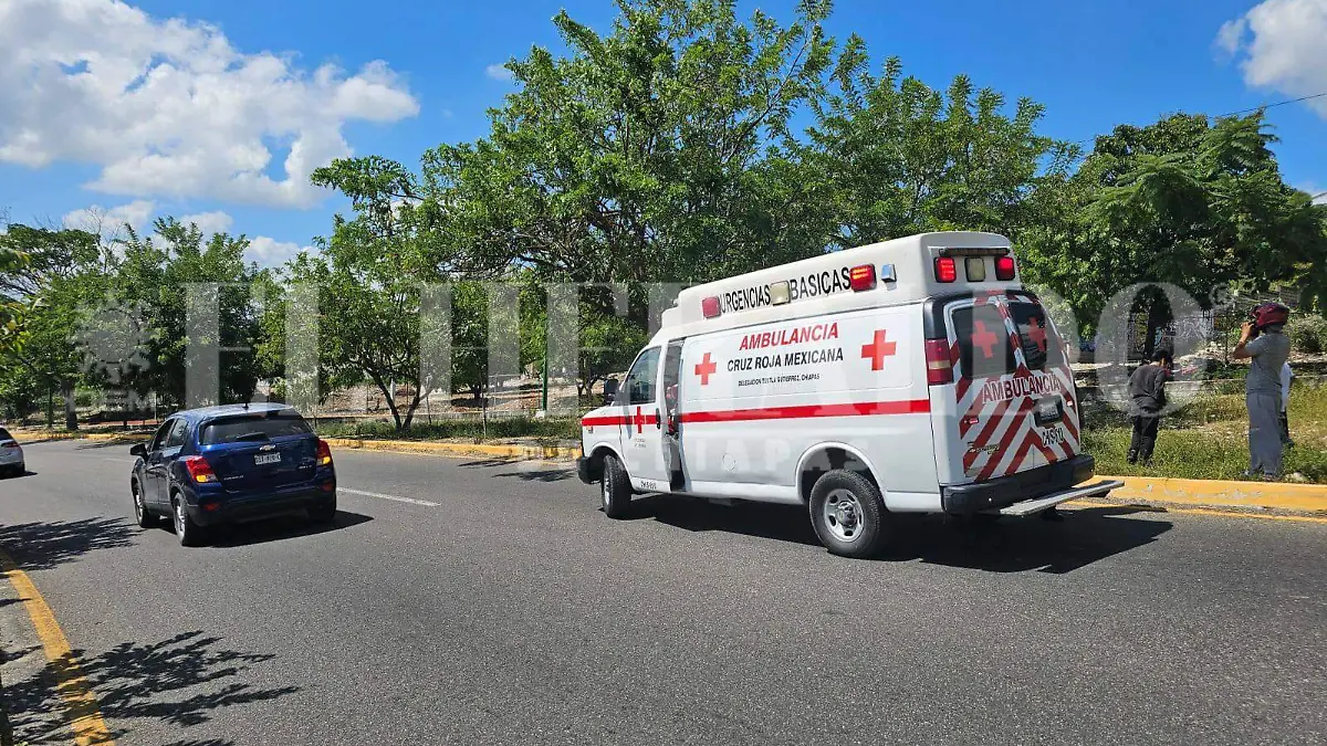 WhatsApp Image 2024-11-03 at 12.34.53