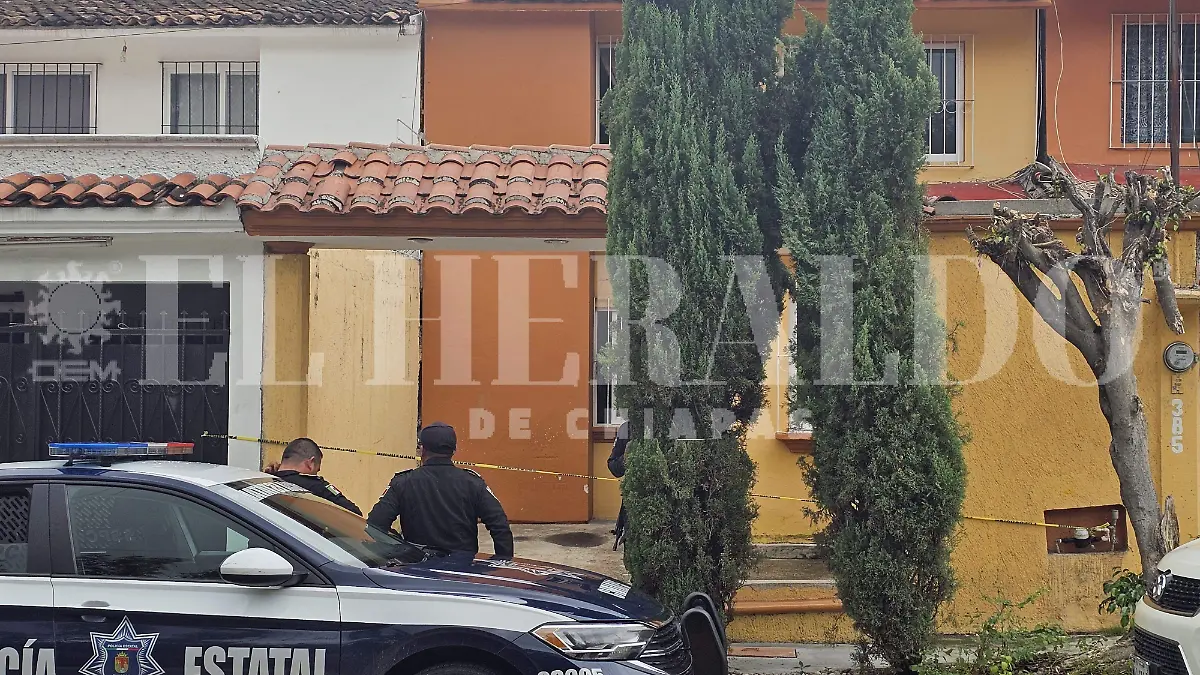 WhatsApp Image 2024-09-07 at 4.02.25 PM