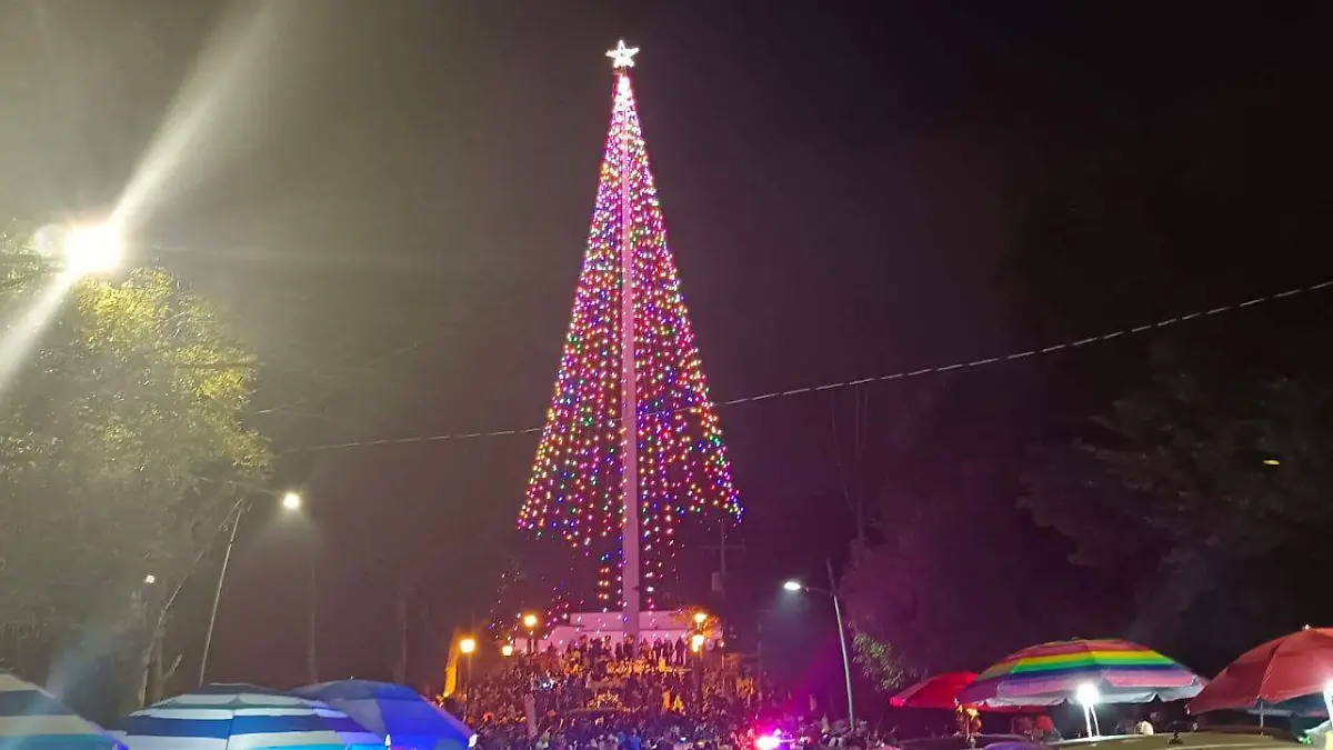 arbol2