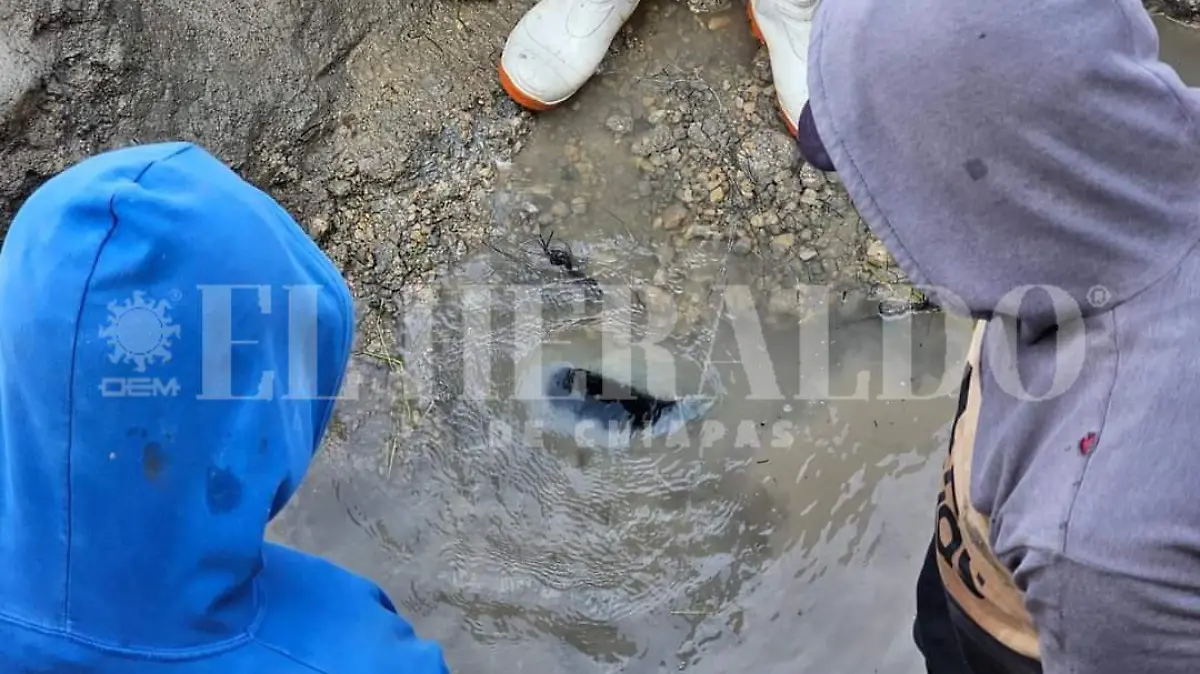 Crisis de agua en Comitan 