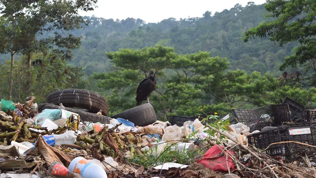 Basura-Carretera (2)