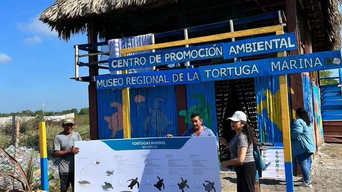 campamento de tortuga