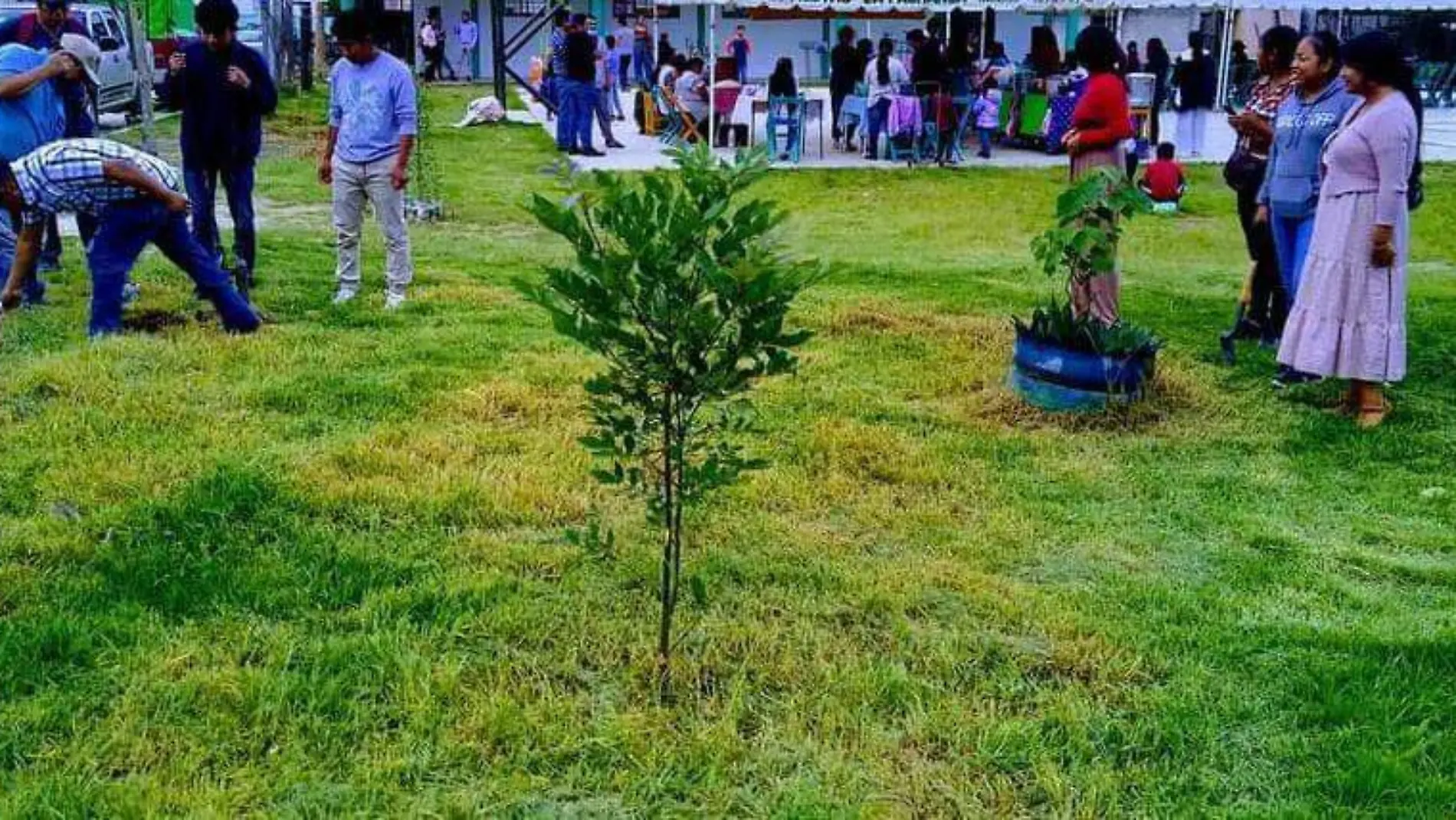 Árbol