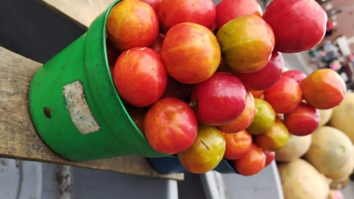 Jocote Tuxtla Gutiérrez