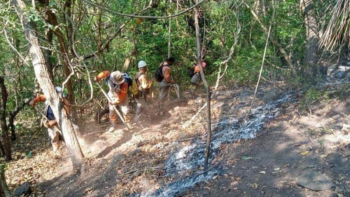 Brigadistas combaten incendio