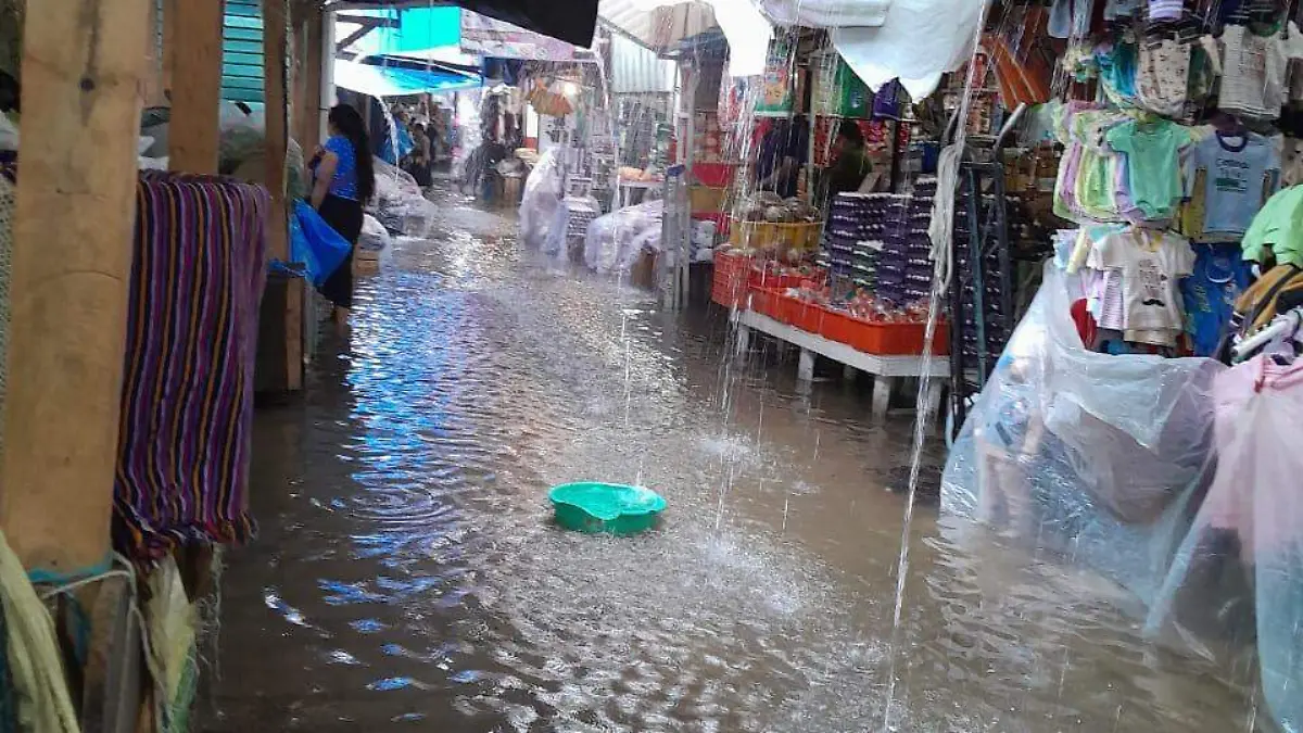 Image 2024-08-10 at 2.27.39 PM (3)