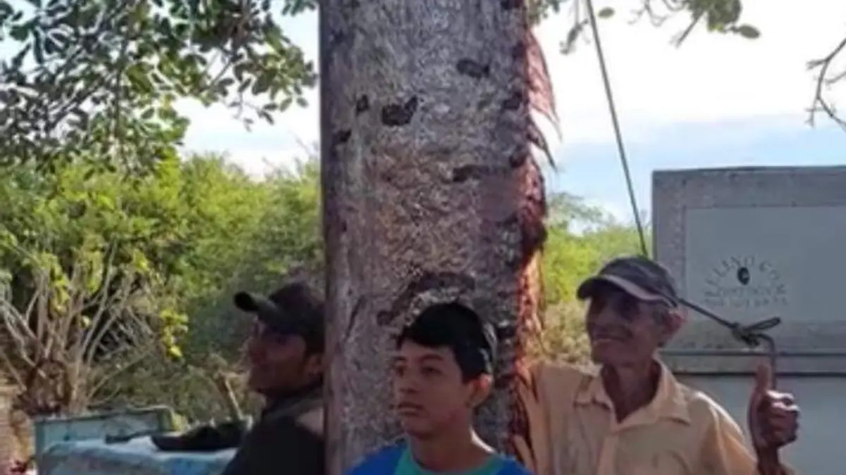pescadores con pez remo