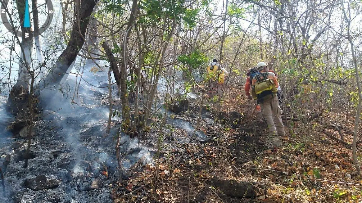 Brigadistas combaten incendio