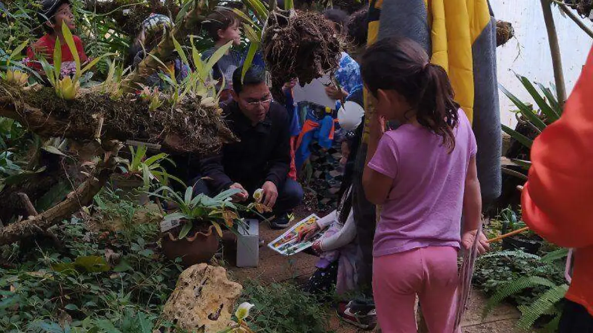 La Ceiba