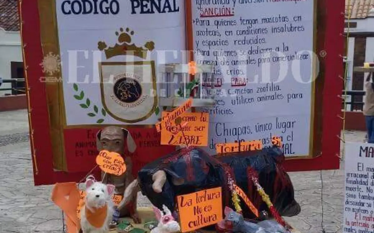 No al maltrato animal